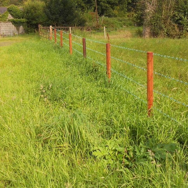 fencing countryside